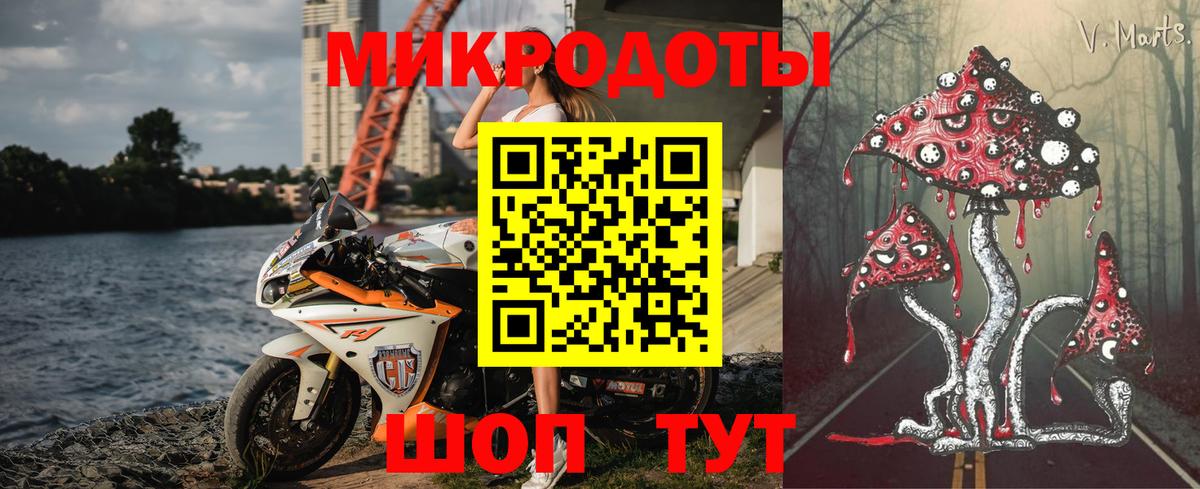 Псилоцибиновые грибы Psilocybe Егорьевск