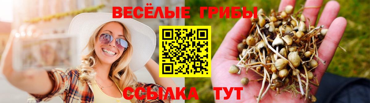 Галлюциногенные грибы Cubensis  Вход с VPN  Егорьевск 